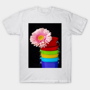 Pink Daisy In Colorful Buckets T-Shirt